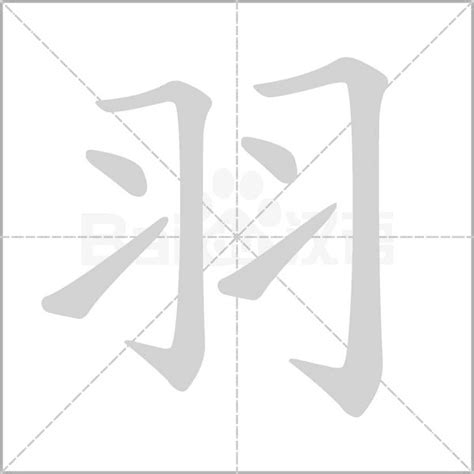 羽部首的字